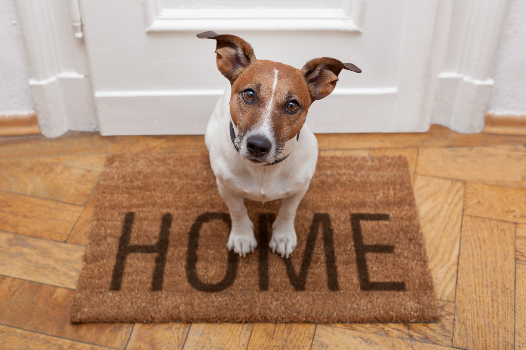 Istock 153812794